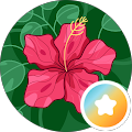 Carolai